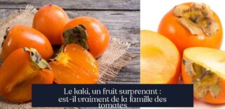 Le kaki, un fruit surprenant : est-il vraiment de la famille des tomates