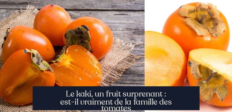 Le kaki, un fruit surprenant : est-il vraiment de la famille des tomates