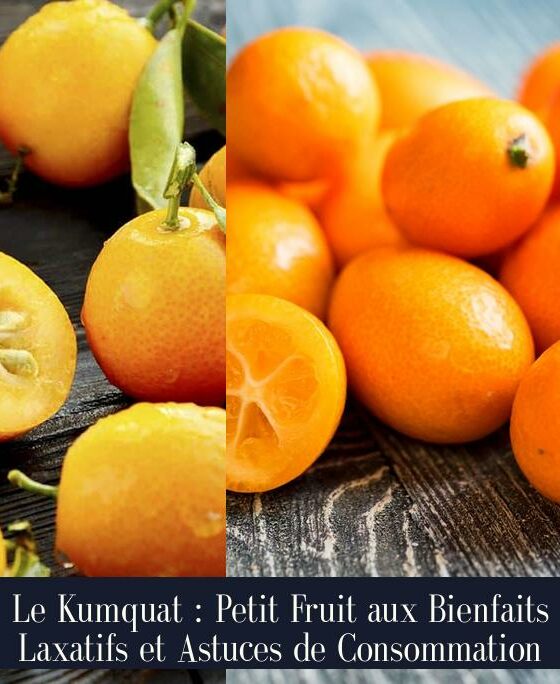 Le Kumquat : Petit Fruit aux Bienfaits Laxatifs et Astuces de Consommation