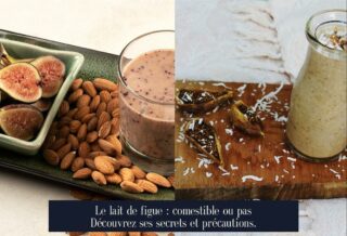 Le lait de figue : comestible ou pas Découvrez ses secrets et précautions.