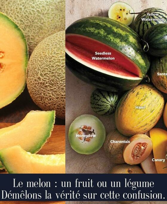 Le melon : un fruit ou un légume Démêlons la vérité sur cette confusion.