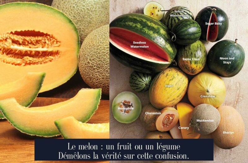 Le melon : un fruit ou un légume Démêlons la vérité sur cette confusion.