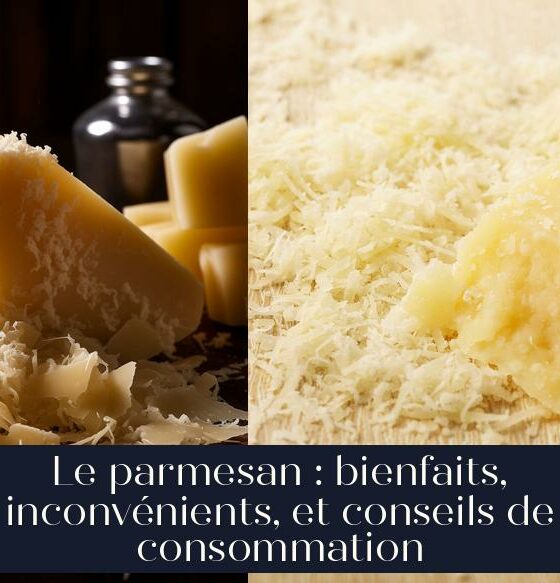 Le parmesan : bienfaits, inconvénients, et conseils de consommation