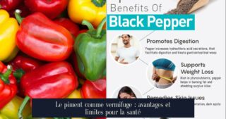 Le piment comme vermifuge : avantages et limites pour la santé