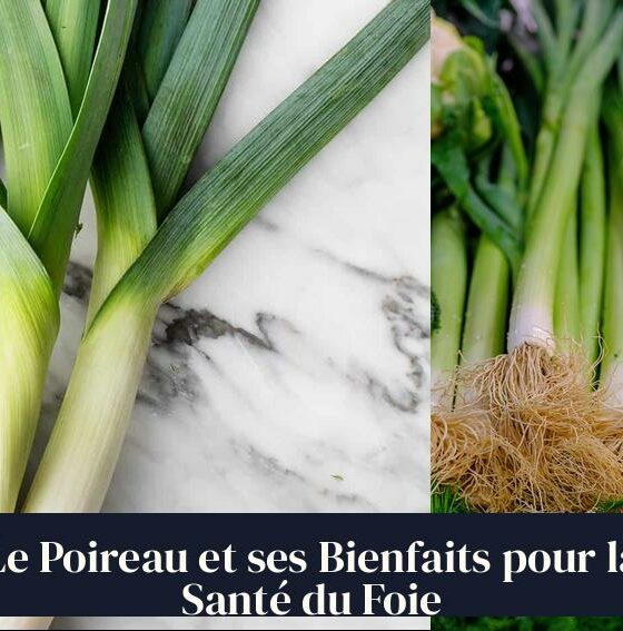 Le Poireau et ses Bienfaits pour la Santé du Foie