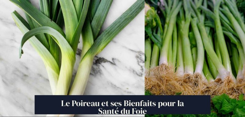 Le Poireau et ses Bienfaits pour la Santé du Foie