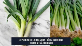 Le poireau et la digestion : défis, solutions et bienfaits à découvrir