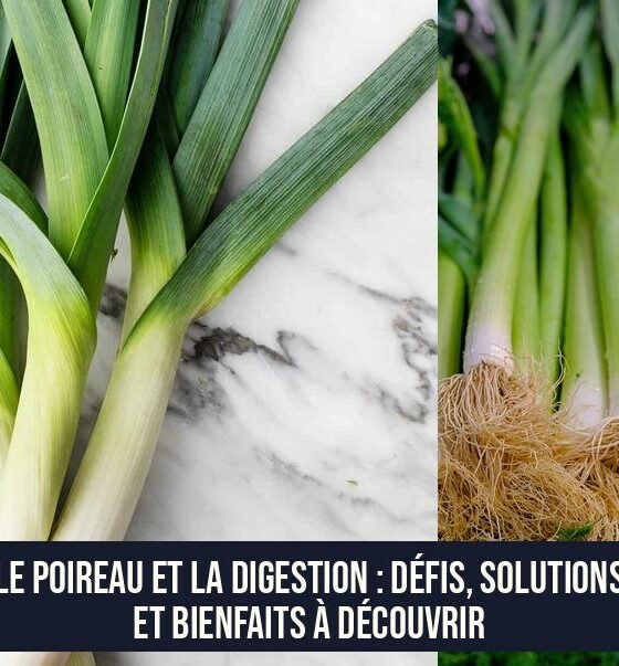 Le poireau et la digestion : défis, solutions et bienfaits à découvrir