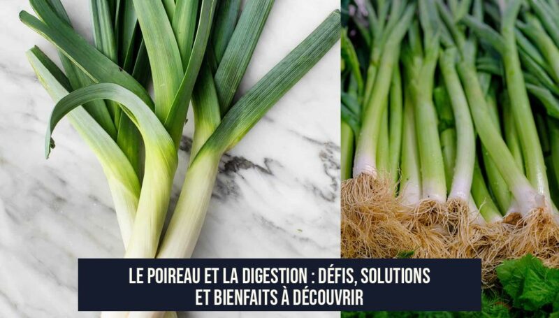 Le poireau et la digestion : défis, solutions et bienfaits à découvrir