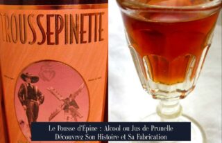 Le Pousse d'Épine : Alcool ou Jus de Prunelle Découvrez Son Histoire et Sa Fabrication
