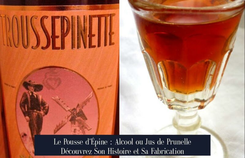 Le Pousse d'Épine : Alcool ou Jus de Prunelle Découvrez Son Histoire et Sa Fabrication