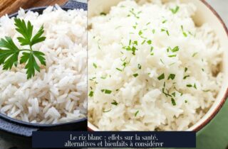 Le riz blanc : effets sur la santé, alternatives et bienfaits à considérer