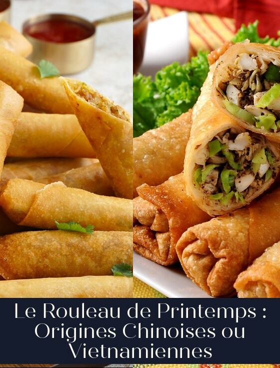 Le Rouleau de Printemps : Origines Chinoises ou Vietnamiennes