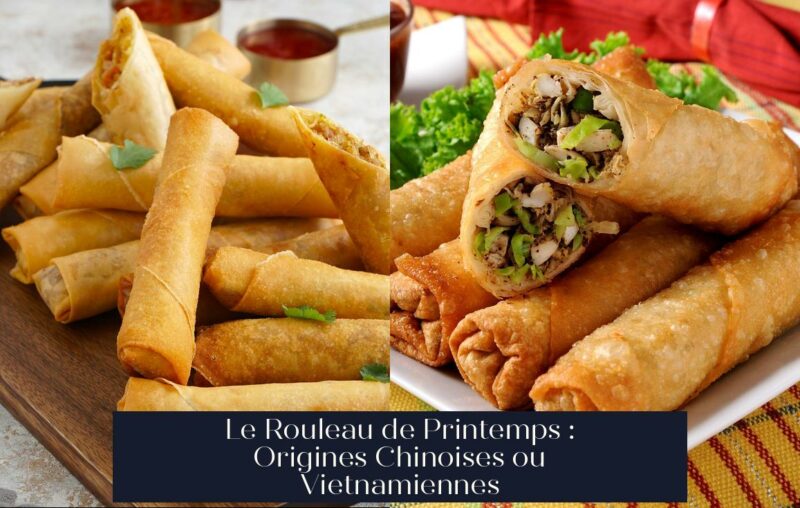 Le Rouleau de Printemps : Origines Chinoises ou Vietnamiennes