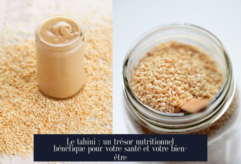 Le tahini : un trésor nutritionnel bénéfique pour votre santé et votre bien-être