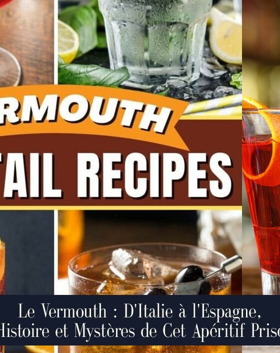 Le Vermouth : D'Italie à l'Espagne, Histoire et Mystères de Cet Apéritif Prisé
