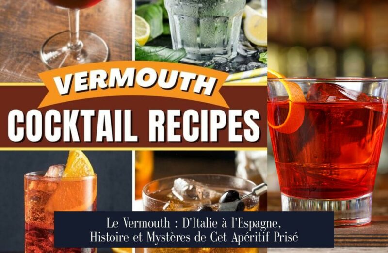 Le Vermouth : D'Italie à l'Espagne, Histoire et Mystères de Cet Apéritif Prisé