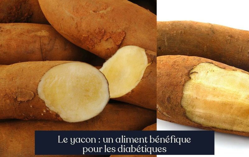 Le yacon : un aliment bénéfique pour les diabétiques