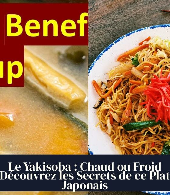 Le Yakisoba : Chaud ou Froid Découvrez les Secrets de ce Plat Japonais