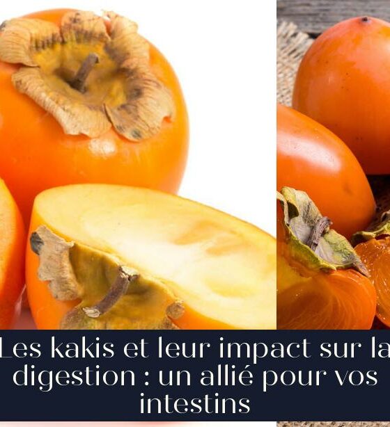 Les kakis et leur impact sur la digestion : un allié pour vos intestins