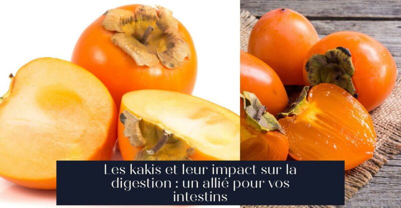 Les kakis et leur impact sur la digestion : un allié pour vos intestins