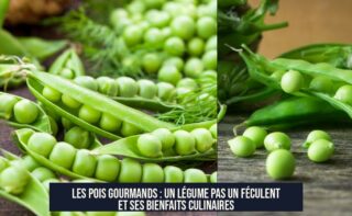 Les pois gourmands : un légume pas un féculent et ses bienfaits culinaires