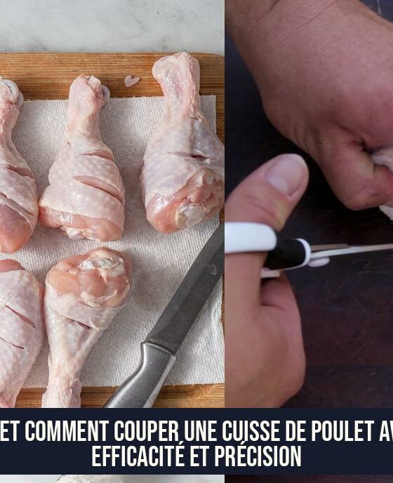 Où et comment couper une cuisse de poulet avec efficacité et précision