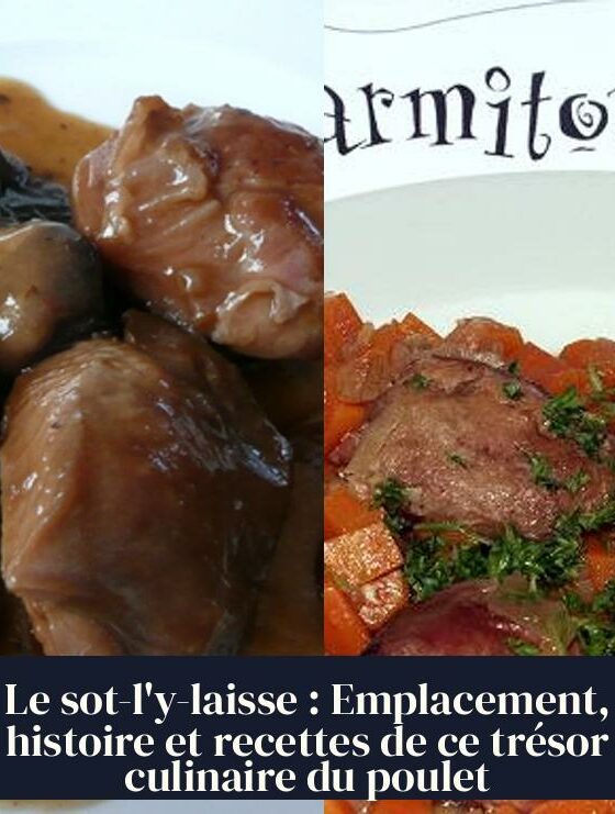 Le sot-l'y-laisse : Emplacement, histoire et recettes de ce trésor culinaire du poulet