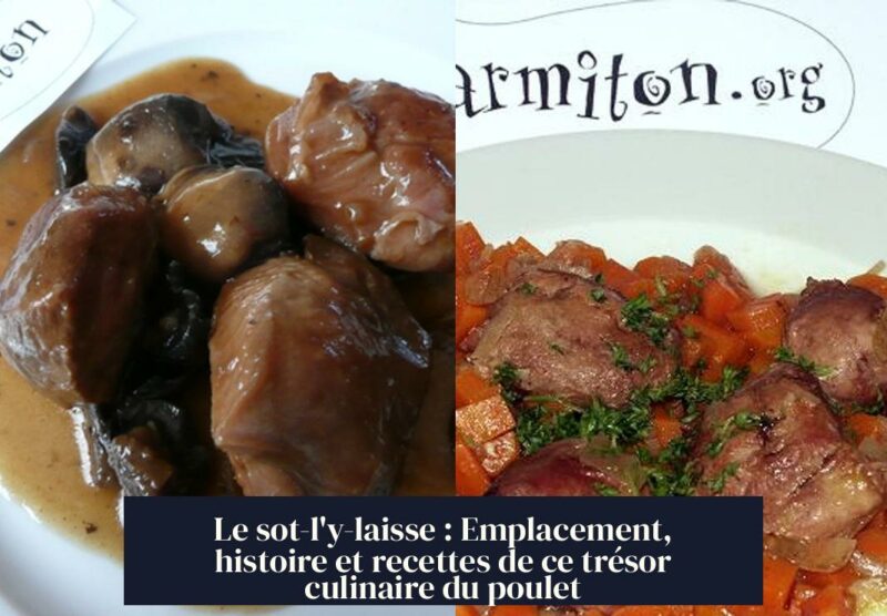 Le sot-l'y-laisse : Emplacement, histoire et recettes de ce trésor culinaire du poulet