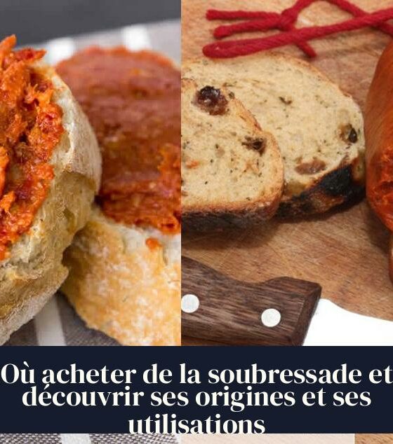 Où acheter de la soubressade et découvrir ses origines et ses utilisations