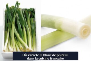 Où s'arrête le blanc de poireau dans la cuisine française
