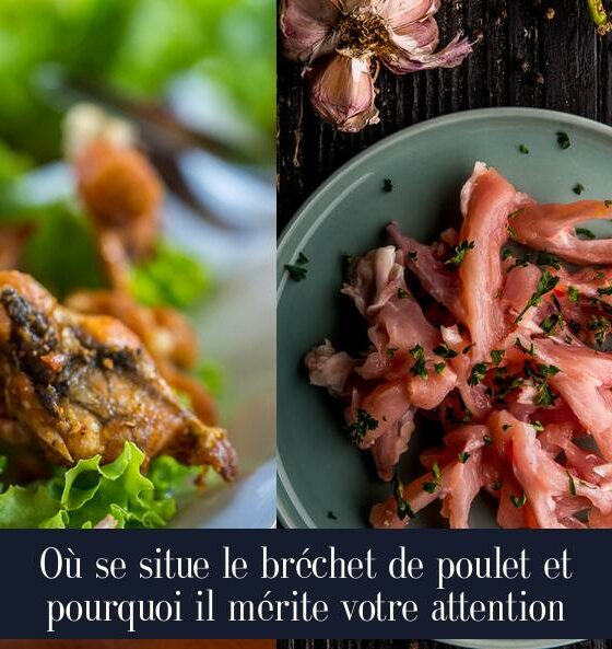 Où se situe le bréchet de poulet et pourquoi il mérite votre attention