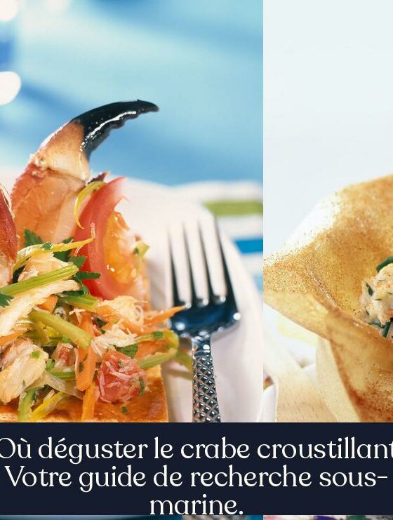 Où déguster le crabe croustillant Votre guide de recherche sous-marine.