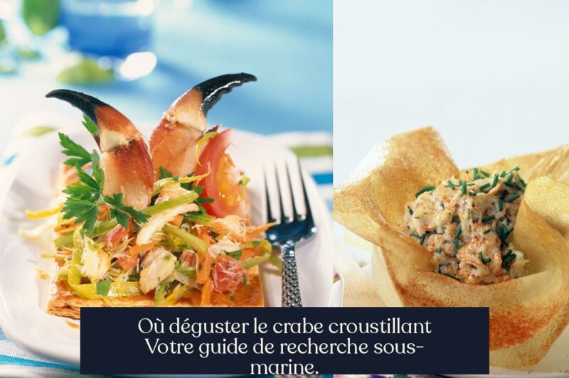 Où déguster le crabe croustillant Votre guide de recherche sous-marine.