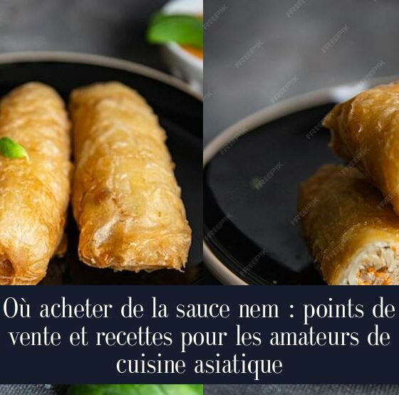 Où acheter de la sauce nem : points de vente et recettes pour les amateurs de cuisine asiatique