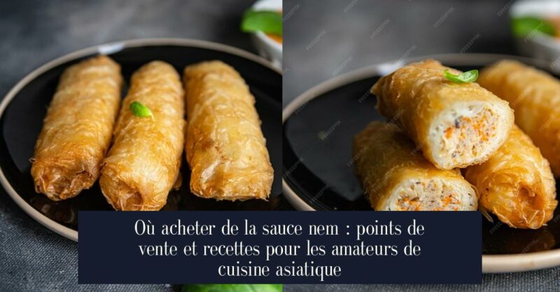 Où acheter de la sauce nem : points de vente et recettes pour les amateurs de cuisine asiatique