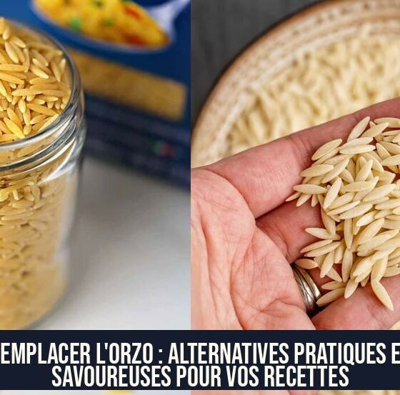 Remplacer l'orzo : alternatives pratiques et savoureuses pour vos recettes