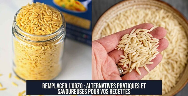 Remplacer l'orzo : alternatives pratiques et savoureuses pour vos recettes