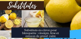 Substituts au citron pour blanquette : vinaigre, lime et astuces de grand-mère