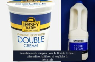Remplacements simples pour la Double Crème : alternatives laitières et végétales à découvrir