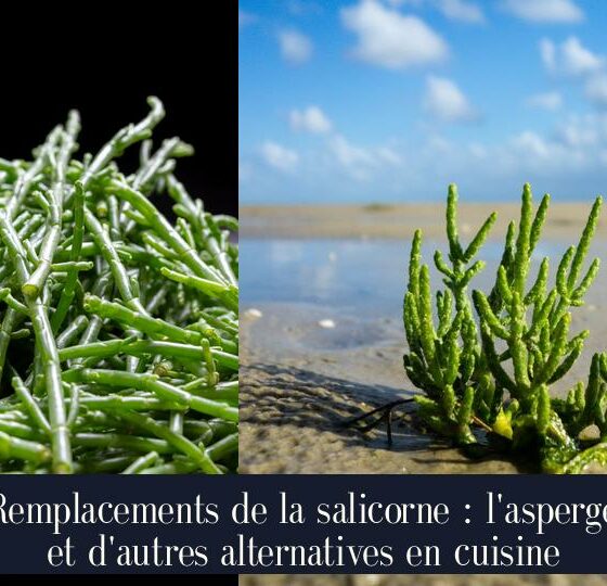 Remplacements de la salicorne : l'asperge et d'autres alternatives en cuisine