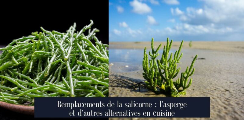 Remplacements de la salicorne : l'asperge et d'autres alternatives en cuisine