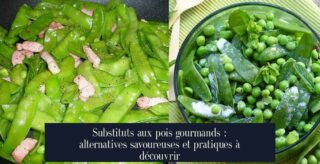 Substituts aux pois gourmands : alternatives savoureuses et pratiques à découvrir