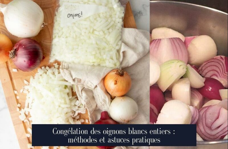 Congélation des oignons blancs entiers : méthodes et astuces pratiques