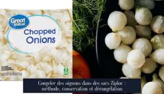 Congeler des oignons dans des sacs Ziploc : méthode, conservation et décongélation