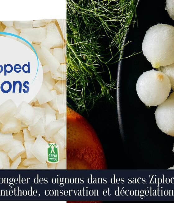 Congeler des oignons dans des sacs Ziploc : méthode, conservation et décongélation