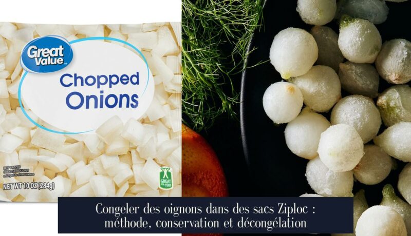 Congeler des oignons dans des sacs Ziploc : méthode, conservation et décongélation