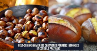 Peut-on consommer des châtaignes périmées Réponses et conseils pratiques
