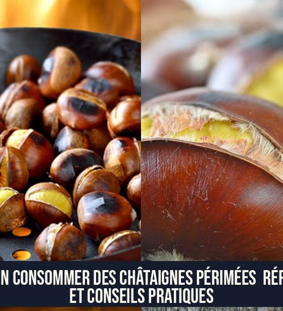 Peut-on consommer des châtaignes périmées Réponses et conseils pratiques
