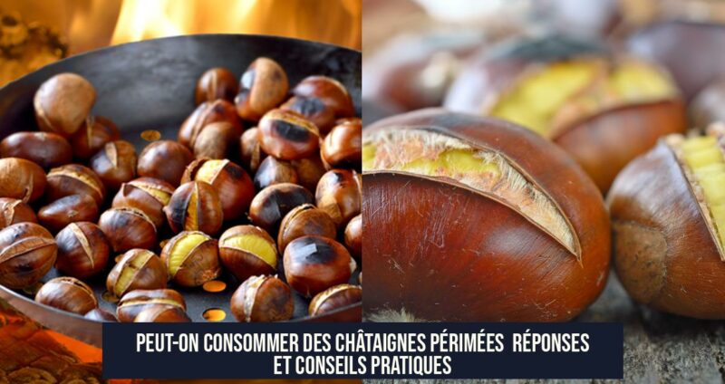 Peut-on consommer des châtaignes périmées Réponses et conseils pratiques